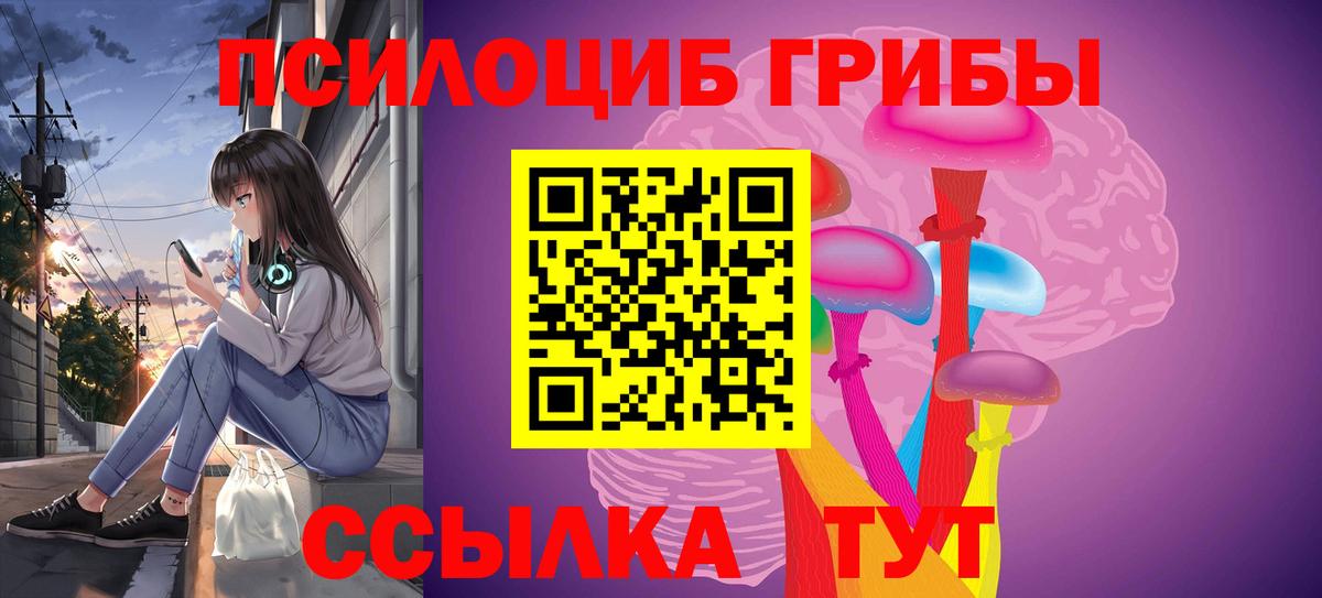 Комсомольск-на-Амуре  Галлюциногенные грибы прущие грибы  Вход с VPN 