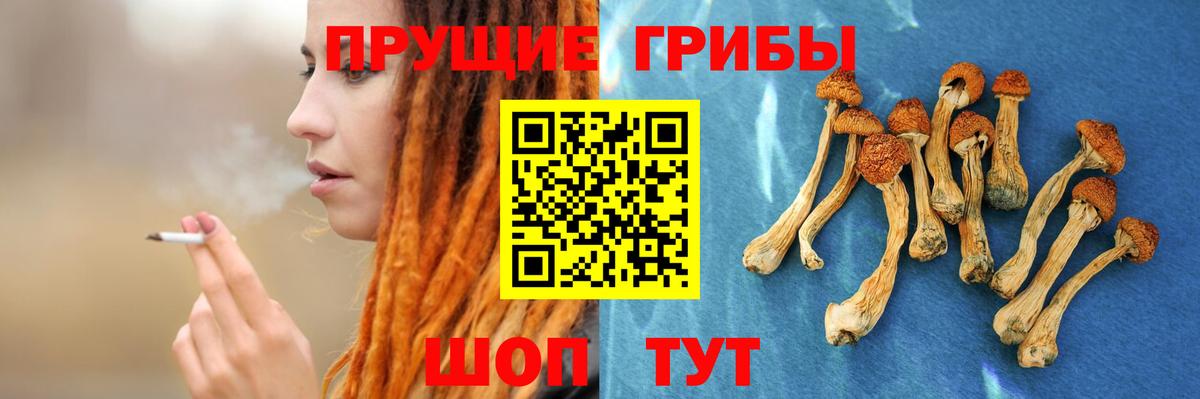 Псилоцибиновые грибы Magic Shrooms Комсомольск-на-Амуре